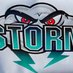 Storm Intermediate Baseball (@lcstormbaseball) Twitter profile photo Storm Intermediate Baseball (@lcstormbaseball) Twitter profile photo