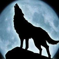 MasterWolf07 (@masterwolf0711) 's Twitter Profile