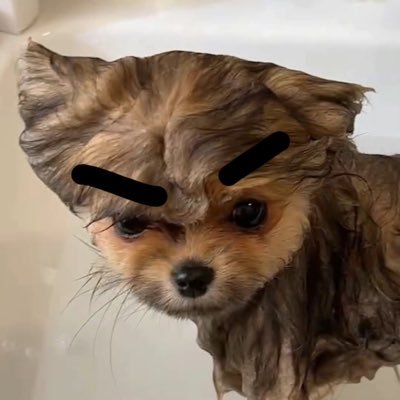 kaiyiwang950's profile picture. 