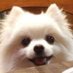Longhorn_06 (@wiscfan1) Twitter profile photo Longhorn_06 (@wiscfan1) Twitter profile photo