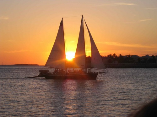 DougSelden's profile picture. Sailor, Golfer, Husband, Retired Library Media Specialist, Former Government Teacher, New Yorker, Polo Player