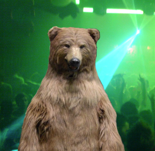 I keep the party going, all year round. When fun doesn't hibernate, neither do I. #fundoesnthibernate