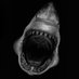 Peter_Sharkk (@peter_sharkk) Twitter profile photo Peter_Sharkk (@peter_sharkk) Twitter profile photo