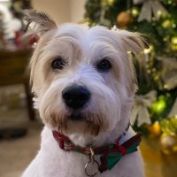 here4thememories 🇬🇧🏴 (@pf010666) 's Twitter Profile Photo here4thememories 🇬🇧🏴 (@pf010666) 's Twitter Profile Photo