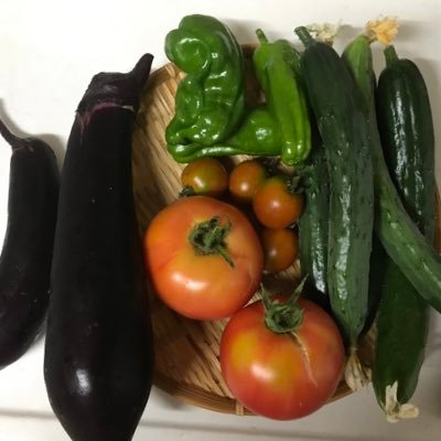 昼間の自由な時間に家庭菜園をやってます。家庭菜園6年目の初心者です。いろいろ調べながらやってます。家庭菜園仲間を増やしたいです。無言フォロー失礼します。家庭菜園仲間のフォロバ100%!家庭菜園や料理について呟きます。 一応この垢はサブ垢で、メイン垢は@suugaku_monndaiです。