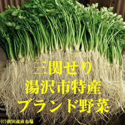 akita_sanchoku's profile picture. ◆三関セリ(みつせきせり)大好評全国発送中！
美しい自然に囲まれた 北東北の秋田県湯沢市から なつかしいふるさと秋田の味と
ご家族の笑顔をお届けいたします。
こころを癒す ふるさと秋田を いつもそばに。
秋田の名物・名産品・特産品・郷土料理の産地直送お取り寄せ通販のことなら秋田産直市場にお任せ下さい。