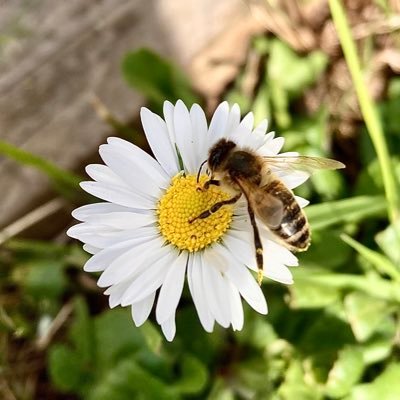 cherry_hudson's profile picture. Tweeting about anything I find interesting!