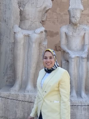 Senior Oncology Consultant
Nasser Institute for Research and Treatment