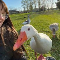 Numismatica (@numigrandi) 's Twitter Profile