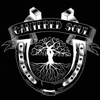 Cantered Soul (@canteredsoul) 's Twitter Profile