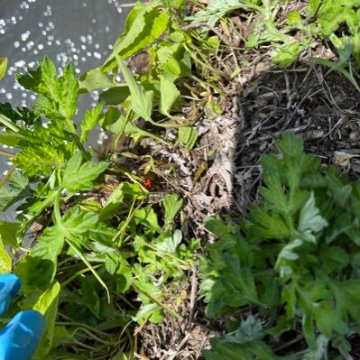 abab_cdcd_efef_'s profile picture. 