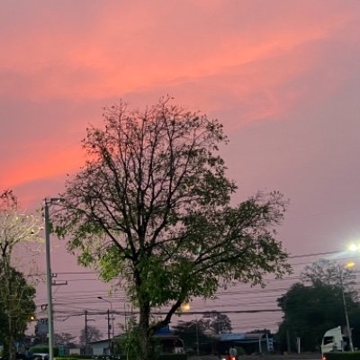 06_maik's profile picture. 