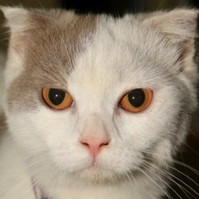 cam_camn's profile picture. It is because there are too many stars that I can't find you?