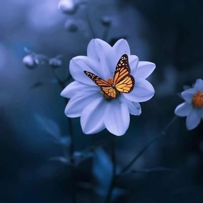 Bunny_1011's profile picture. programming
Software Development
CMs