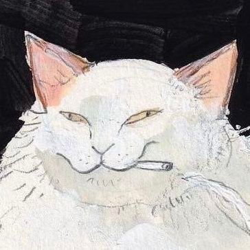 mollyrulesok's profile picture. 