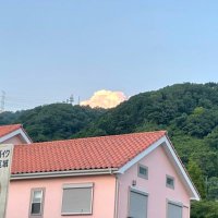 やはた (@guernica800) 's Twitter Profile