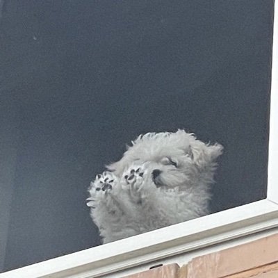 obog_gim's profile picture. 그냥 다 먹는다고요..