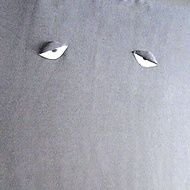かぐやさんのプロフィール画像