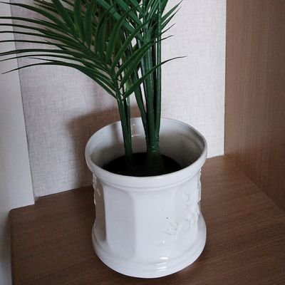 nannymarmo's profile picture. 