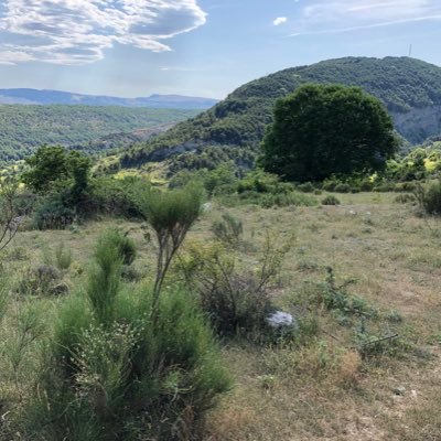 Création d’un vignoble bio à 1130 m d’altitude, sur l’adret du #cheiron  à #coursegoules dans l’arrière-pays de la #cotedazur