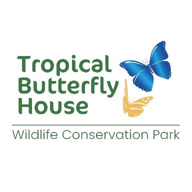 Encounter the exotic at the Tropical Butterfly House, Wildlife and Falconry Centre, a wild family day out near Sheffield!