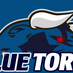 BlueToro (@bluetoro_ca) Twitter profile photo BlueToro (@bluetoro_ca) Twitter profile photo