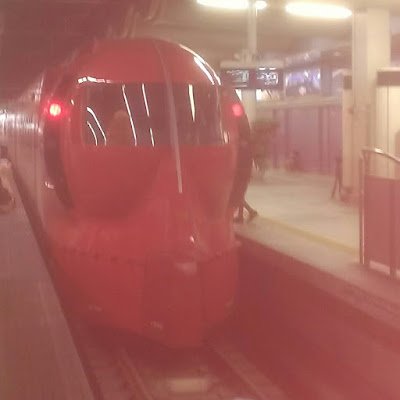 LION73316015's profile picture. 