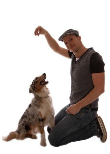 Malteundjosie's profile picture. 