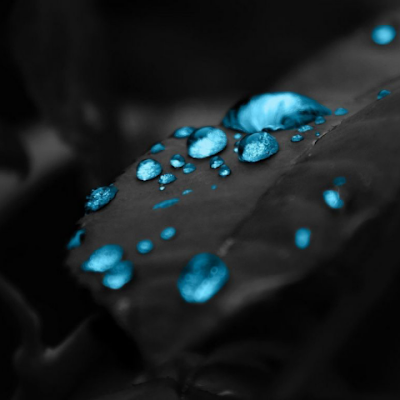 EzzaldeenMarwa's profile picture. 