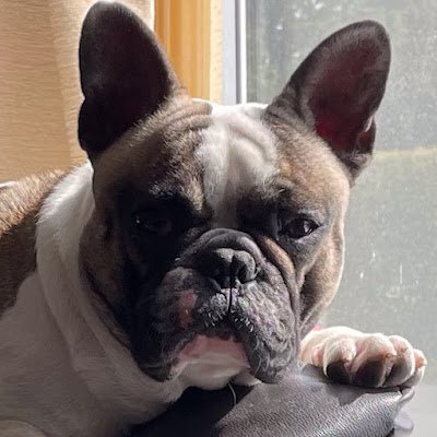 Mantis08479266's profile picture. 