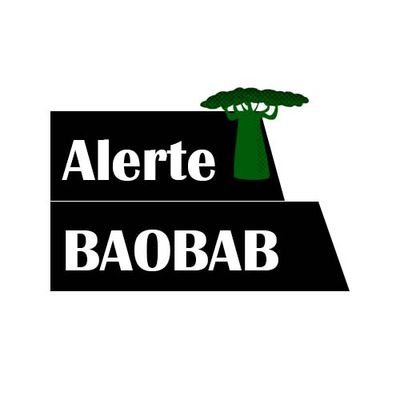 Alerte Baobab