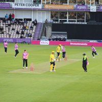 The Final Wicket (@final_wicket) 's Twitter Profile