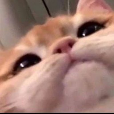 squewe0's profile picture. 2.25 Million Subscribers on YouTube
Follow me for a cookie
https://t.co/woBneynYSe