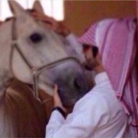 محمد عبدالعزيز (@memo19441) 's Twitter Profile