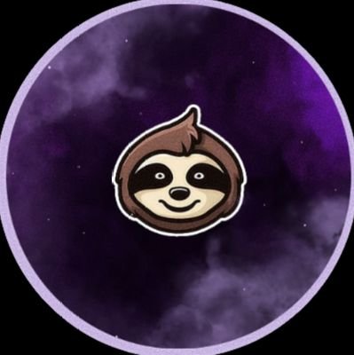 SlothboyV's profile picture. Young content creator