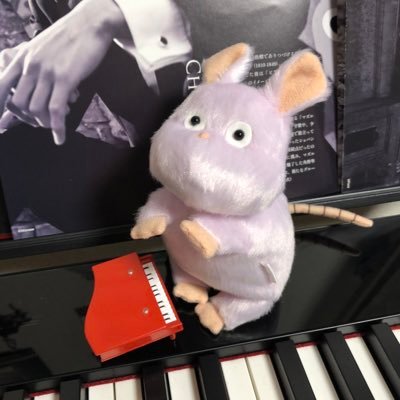 8810fan2279's profile picture. 8810ﾌｧﾝｸﾗﾌﾞ会員🎹 Cateentラボﾒﾝﾊﾞｰ🎹 ピアノがちょっと弾けるおばあちゃんになるのが夢🎹 猫に片想い中🐈無言フォロー失礼します(๑∵๑)♪