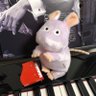 8810fan2279's profile picture. 8810ﾌｧﾝｸﾗﾌﾞ会員🎹 Cateentラボﾒﾝﾊﾞｰ🎹 ピアノがちょっと弾けるおばあちゃんになるのが夢🎹 猫に片想い中🐈無言フォロー失礼します(๑∵๑)♪