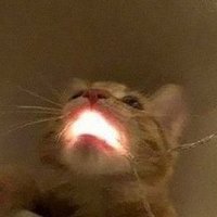 H0rnyMfer (@ihavenolife2003) 's Twitter Profile