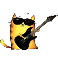 Fat Cat Affair (@affairfat) 's Twitter Profile
