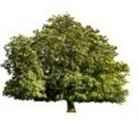 Friends Of ARP (@alexandrardpark) 's Twitter Profile Photo Friends Of ARP (@alexandrardpark) 's Twitter Profile Photo
