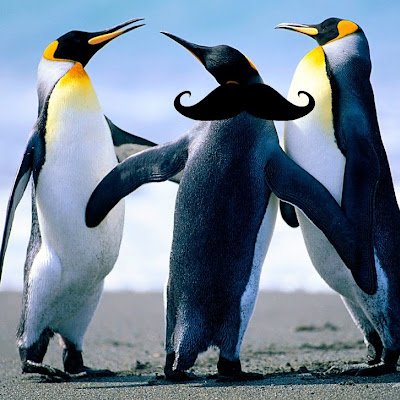 HealthPathshala's profile picture. 