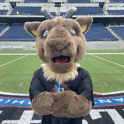 HofGoldy's profile picture. The Official Mascot of the @ProFootballHOF | Instagram: hofgoldy | #TheGOAT