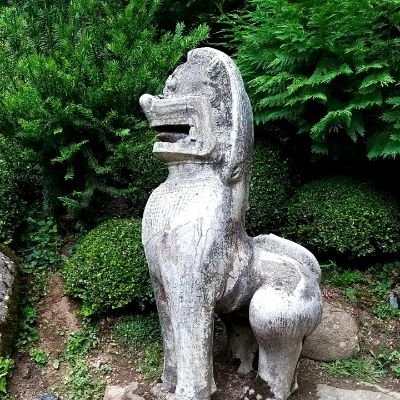 CMikynel's profile picture. 