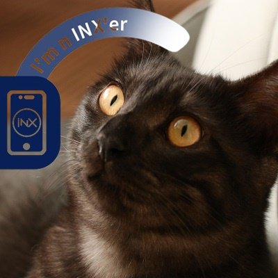 NessAqua_f's profile picture. デジタル証券を知り投資。 2020年に鬱になり、その時にメンタルハックを学び今は自分のことを最優先にして生きてます。日々の気づきをできるだけ言語化してます。