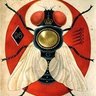 ElzevirZe's profile picture. Rien n'est précaire comme vivre 
Rien comme être n'est passager 
C'est un peu fondre pour le givre 
Et pour le vent être léger...