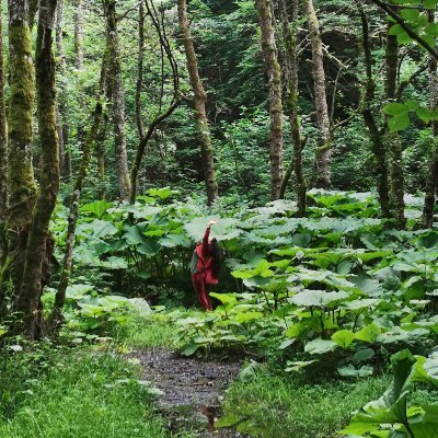 KarlaArtTeacher's profile picture. Lifetime Arts Teacher/Student of art pathways in culture, socio-psychology and education. Art is Expression, we NEED Expression for Global Citizenship
 #STEAM