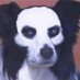K (@kekaiteki) Twitter profile photo K (@kekaiteki) Twitter profile photo