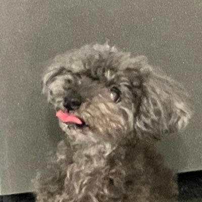 めろえる…さんのプロフィール画像