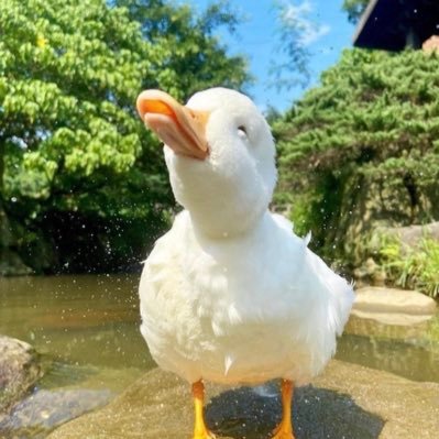 めしえみ2234さんのプロフィール画像