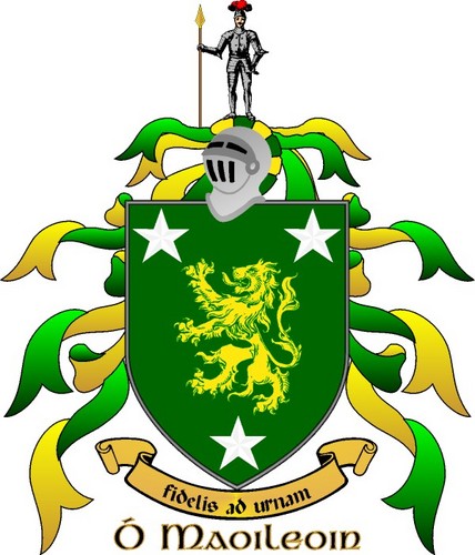 themeanpotato's profile picture. Belfast born, belly dancing, cake eating ninja